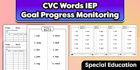 IEP Accommodations Cheat Sheets for Special Education