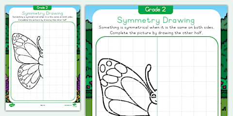 Complete the Drawing Using Symmetry Activity Sheet