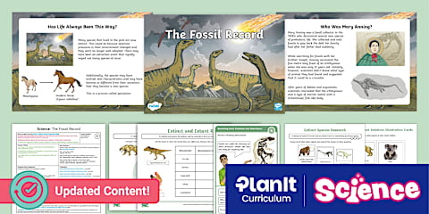 Fossils and Evolution Year 6 Differentiated Lesson Teaching Pack