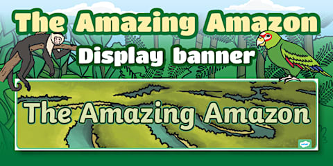 Amazon Themed Display Lettering Pack