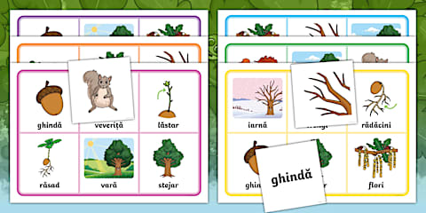 Micuțele ghinde: Stejarul – Gustare