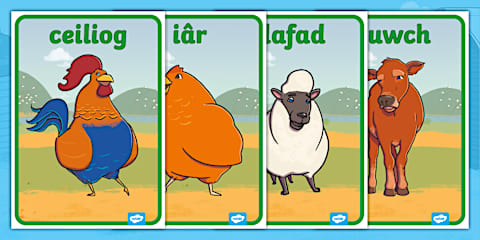 Farm Animals Display Poster Welsh