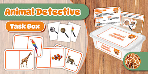 Counting Task Box