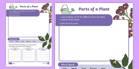 Parts of a Flowering Plant Cut and Stick Activity Sheet