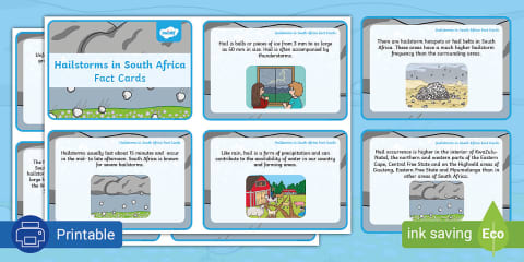 Grade 3 Life Skills Term 4 Birds of South Africa Leaflet Template (CAPS ...