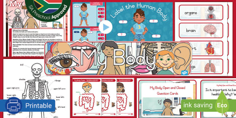 Preschool: My Body: Body Parts Flashcards