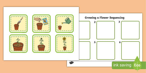 Sequencing My School Day Resource Pack