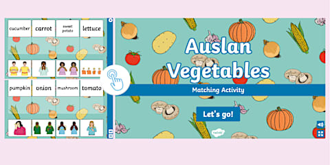 Auslan Fruits Interactive Matching Activity