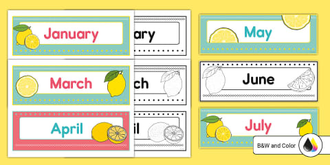 Adorable Owl Theme Months of the Year Bulletin Board Labels