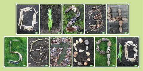Create Numbers 0-20 With Nature Activity Pack
