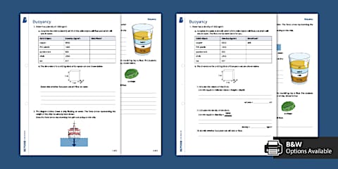 Sinking and Floating (The Sea) Assessment Tracker