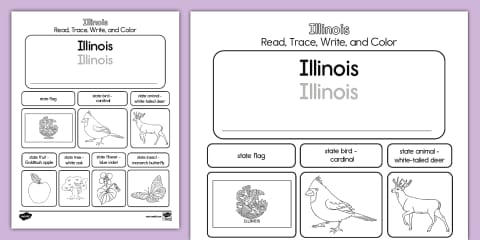 FREE Illinois Teaching Resources Taster Pack