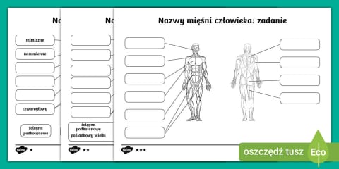 budowa-ust-oznacz-cz-ci-budowy-ust-anatomia-cz-owieka