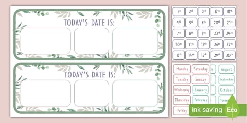 EYFS Dragonfly-Themed Daily Calendar and Weather Chart