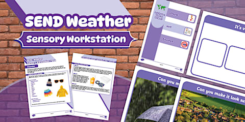 Workstation Pack: Photo to Photo Animal Matching Activity Pack