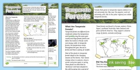Forests Fact File Pack