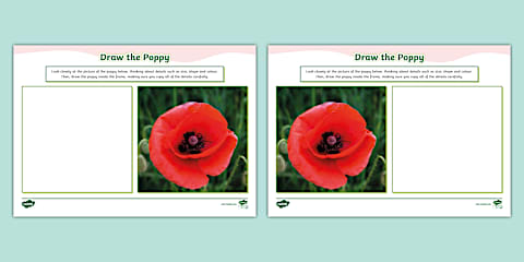 Lest We Forget Remembrance Day Poppy Handprint Activity Poster