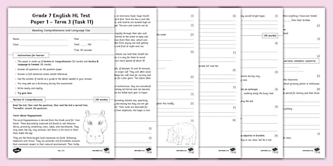 Grade 7 English FAL - Lesson Plan - Term 3 (CAPS Aligned)