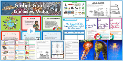 Global Goals Life on Land CfE Second Level IDL and Resource Pack