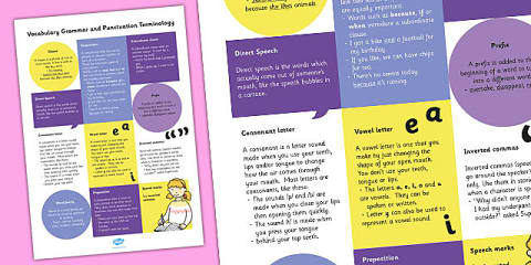 Year 4 Vocabulary Grammar and Punctuation Terminology and Definition Poster