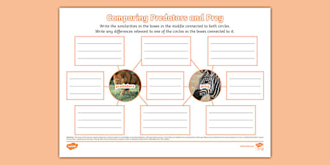Predators and Prey Adaptations Worksheet