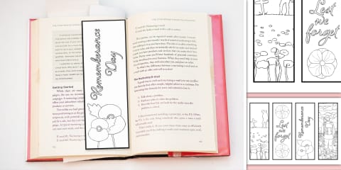 Twinkl Symbols: Remembrance Day Communication Colouring Activity