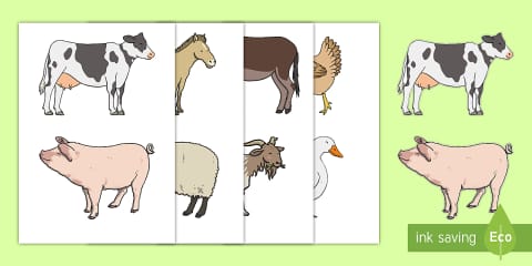 The Farm Aistear Display Pack