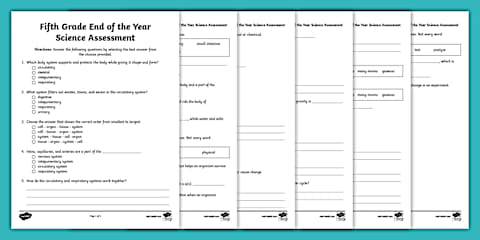 Fifth Grade End of the Year Math Assessment
