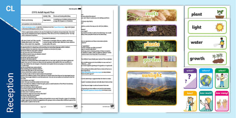 EYFS Planting Sunflowers Adult Input Plan and Resource Pack