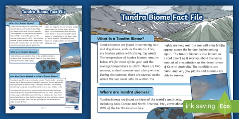 Tucra Rares Tundra Biome Fact File