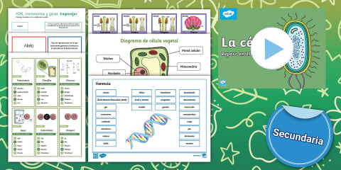 Pack de recursos: Los seres inertes - Ciencias Naturales 1º de Primaria