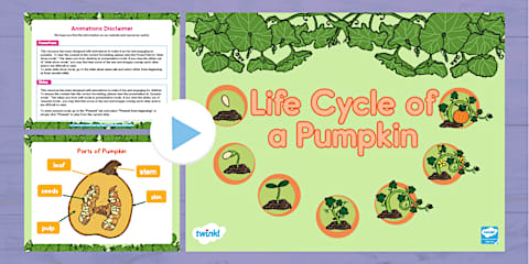 Life Cycle of a Pumpkin Cut and Paste Activity
