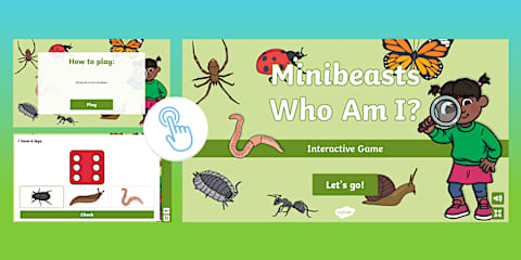 Minibeasts Interactive Match Three Game