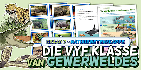 Weekdiere Graad 7 - Natuurwetenskappe - Kwartaal 1 - Ongewerwelde Groepe ...