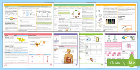 Biology Alphabet Display Lettering