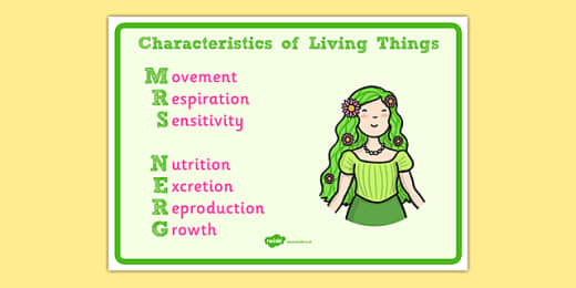 Free Mrs Nerg Characteristics Of Living Things Flash Cards