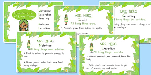 Free Mrs Nerg Characteristics Of Living Things Flash Cards