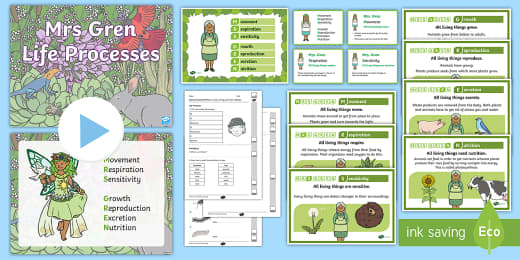 Mrs Gren Ks2 Powerpoint Life Processes Teacher Made