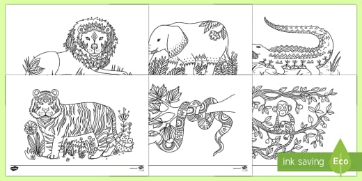 Unicorn Colouring Sheets Pictures To Colour In Primary