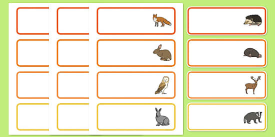 Free Green Editable Animal Drawer Labels Teacher Made