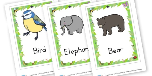 Animals Flashcards Teacher Made