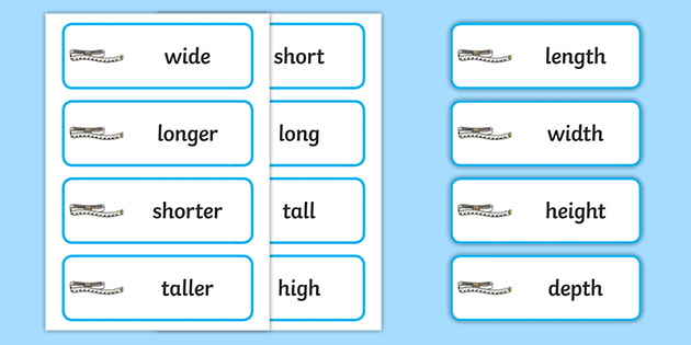 Measurement And Length Vocabulary Word Cards teacher Made 