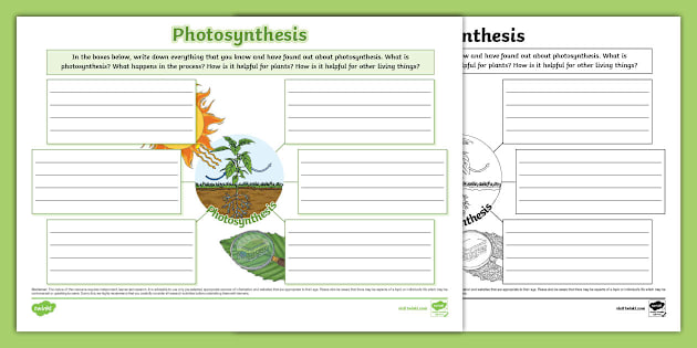 t-sc-1727862449-photosynthesis