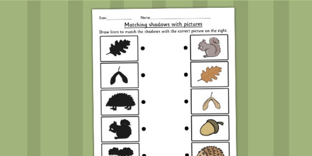 Autumn Shadow Matching Worksheet - seasons, weather, shadows