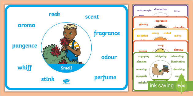 synonyms-display-poster-twinkl-primary-display-resources