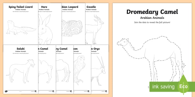 Arabian Animals Dot To Dot Worksheet Worksheet Arabian Animals Dot To Dot Worksheet Worksheet