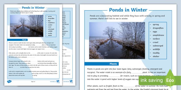 winter pond habitat worksheet teacher made