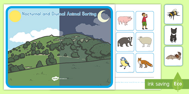 Nocturnal and Diurnal Animal Sorting Cards Activity - Twinkl