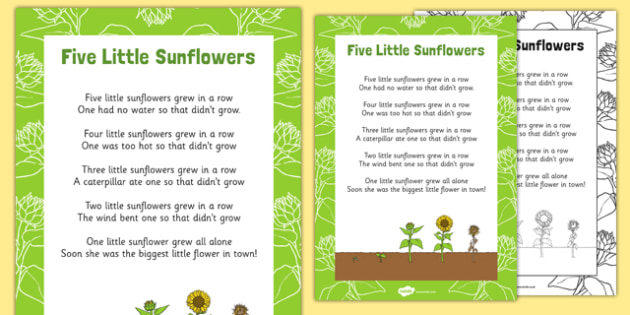 Five Little Sunflowers Counting Song Sheet - counting, song