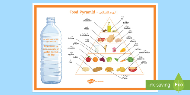 Food Pyramid Display Poster Display Poster Arabic English 